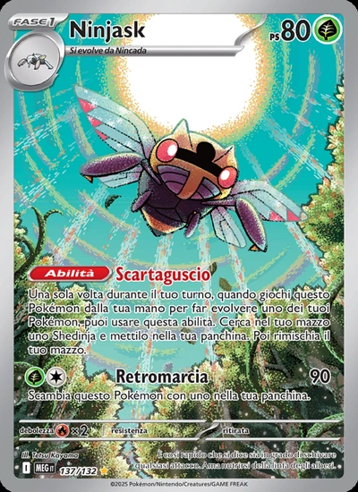 Ninjask