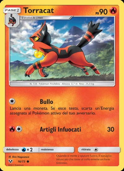 Torracat