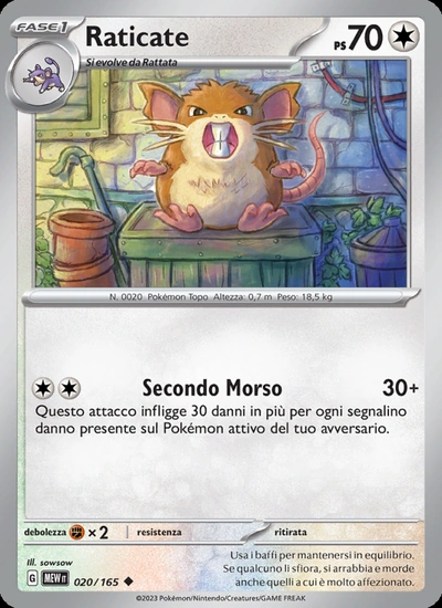 Raticate