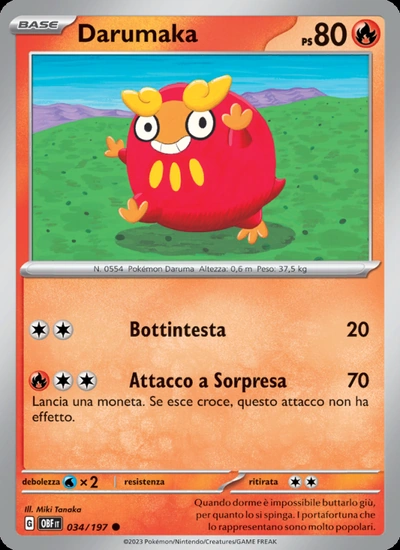 Darumaka
