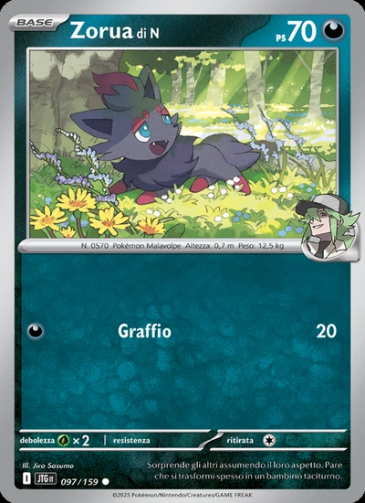 Zorua di N
