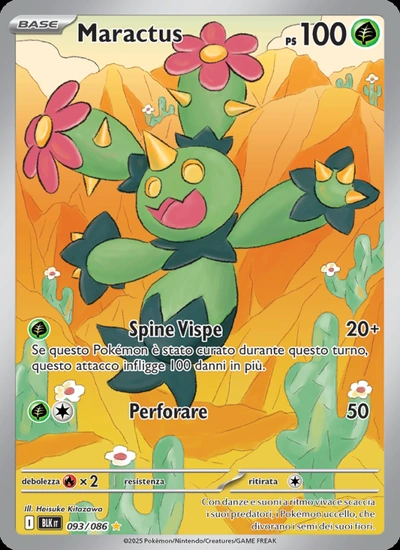 Maractus