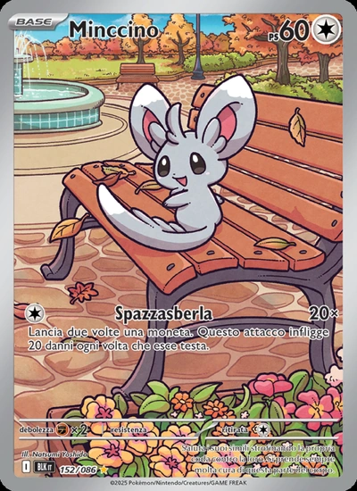 Minccino