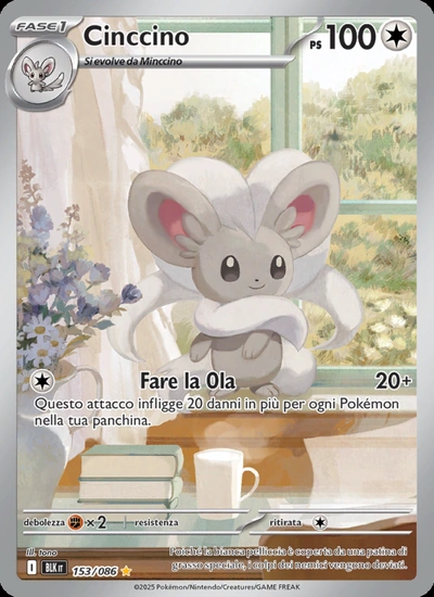 Cinccino