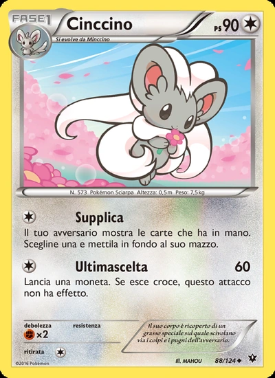 Cinccino