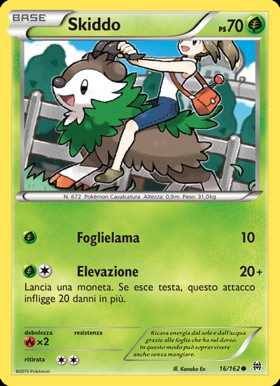 Skiddo