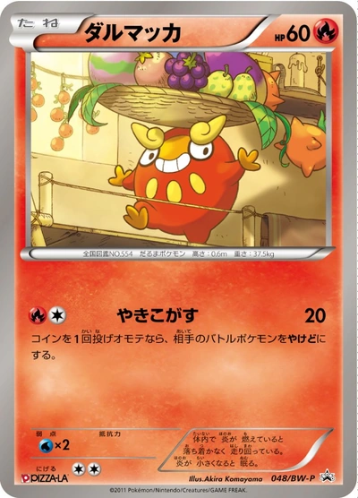 Darumaka