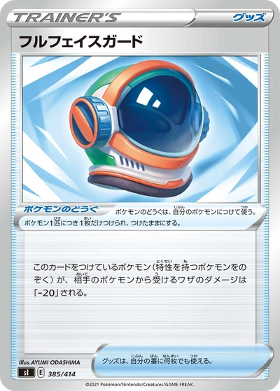Full Face Guard