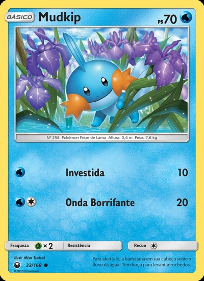 Mudkip