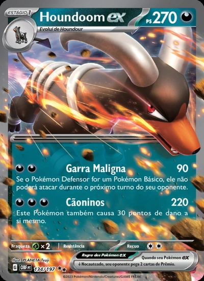 Houndoom ex
