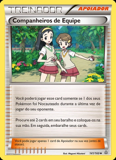 Companheiros de Equipe