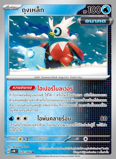 ถุงเหล็ก