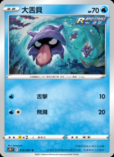 大舌貝