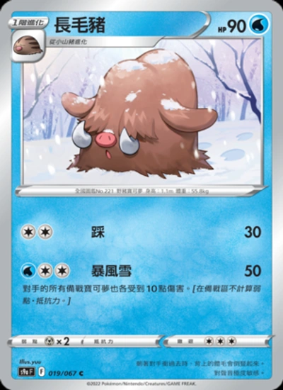長毛豬