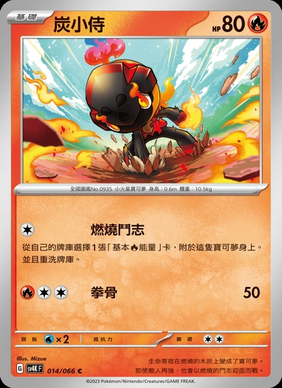 炭小侍