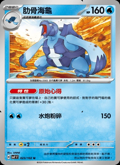 肋骨海龜
