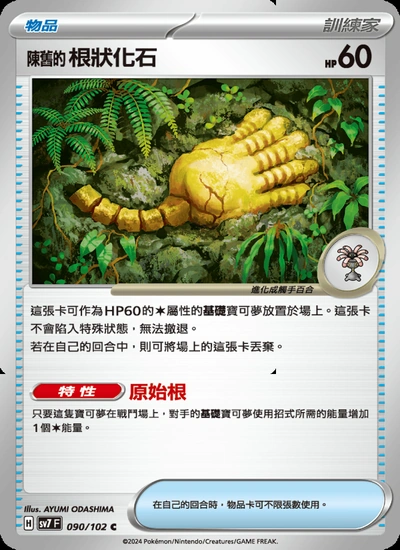 陳舊的根狀化石