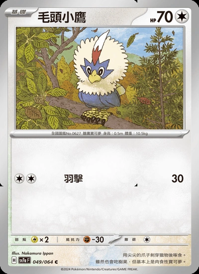 毛頭小鷹