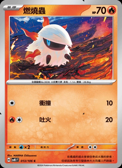 燃燒蟲